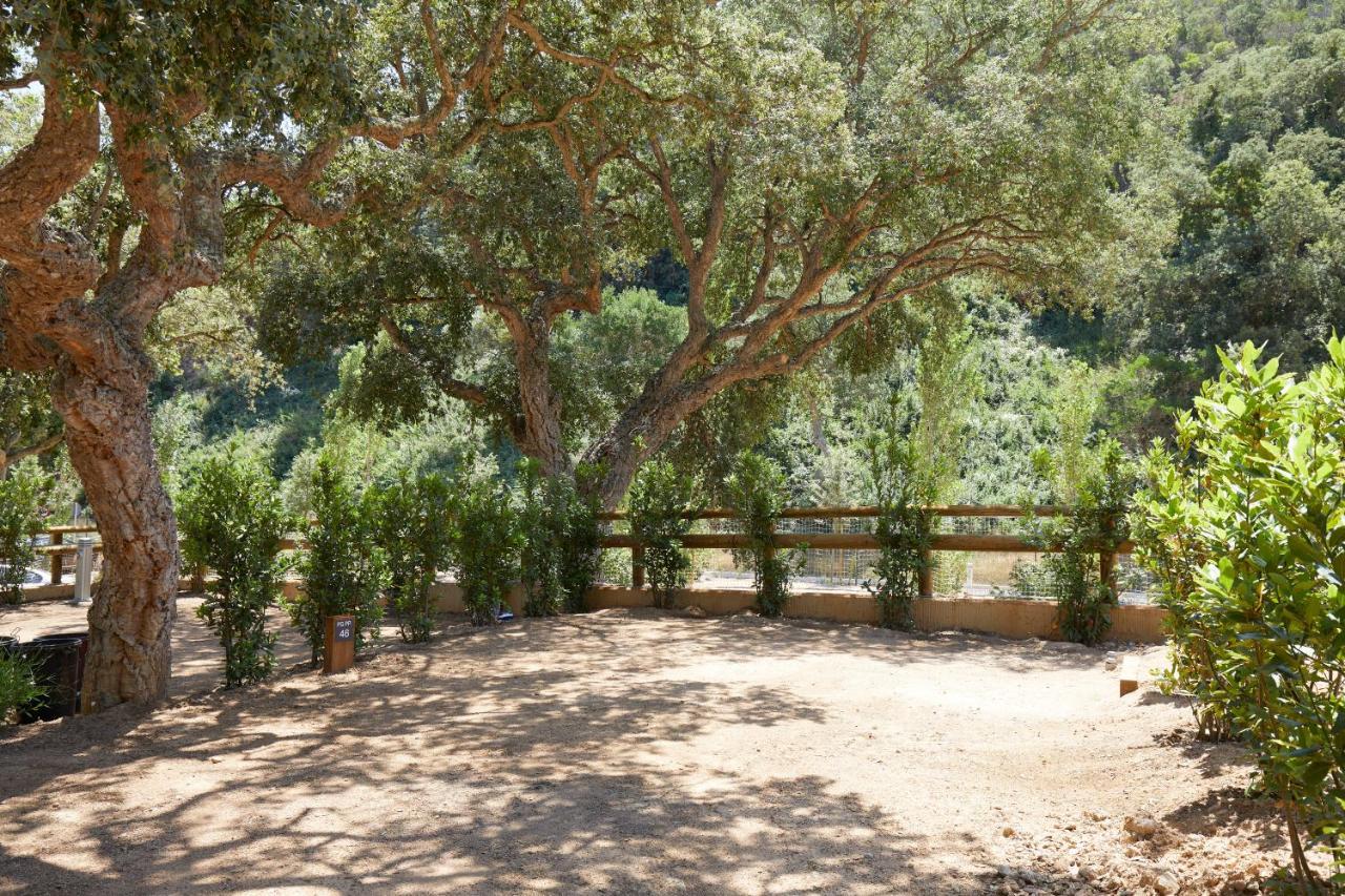 Pola Giverola Camp Tossa de Mar Exterior photo