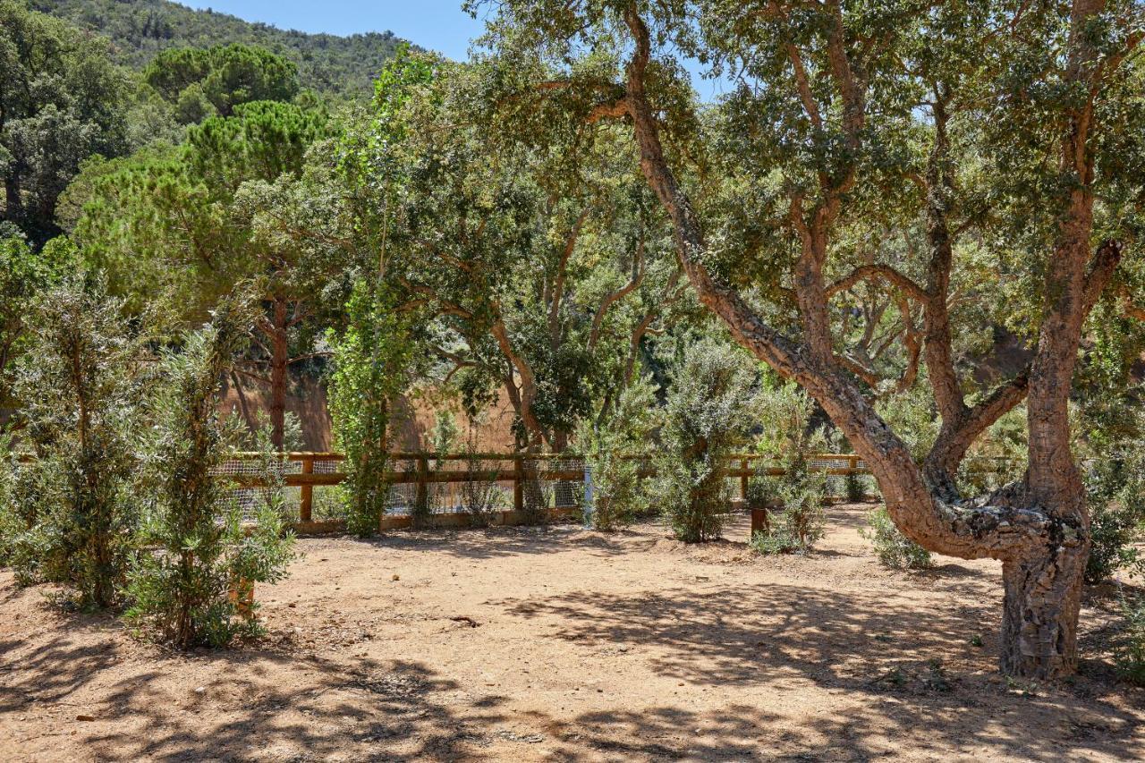 Pola Giverola Camp Tossa de Mar Exterior photo